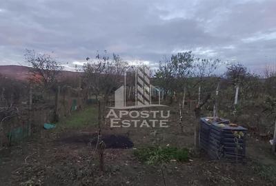 Casa cu spatiu comercial in Ghioroc aproape de plaja - 21