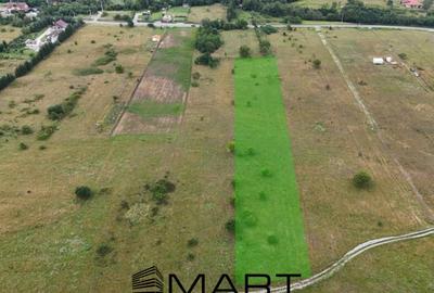 Teren de 5000 mp, în Avrig - 13