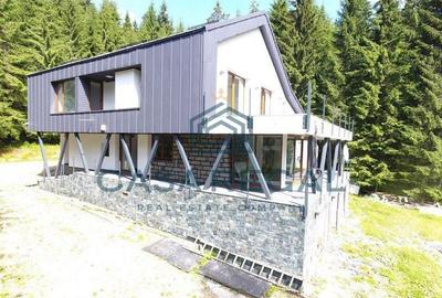 Casa de vacanta lux - Stana de Vale