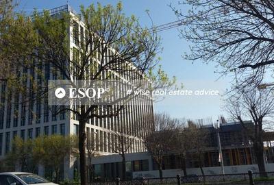 Spațiu comercial, de 800 mp, în Timpuri Noi - 5