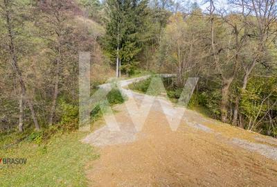 Vanzare teren intravilan 37723 mp Zarnesti Tohanita - 17