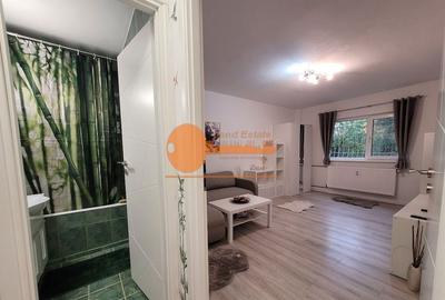 Garsoniera in zona Tineretului-Parcul Tineretului - 10