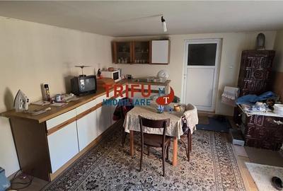 Casă cu 2 camere cu Teren 1600 Mp în Ighiu - 5