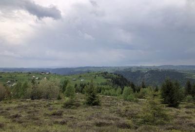 Teren de 1000 mp, în Măguri - 6