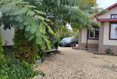 Casă cu Teren 1200 Mp în Țepeș Vodă - 7