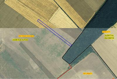 Teren 23.500 m Petrochioaia -Ideal parcul fotovoltaic -Depozite - Pădure Voanta