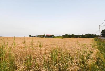 RECO Teren intravilan pentru casa  Lazareni - 8