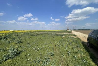 Domnesti, Str Lalelelor, teren intravilan 14793mp, deschidere 46ml, investitie. - 4