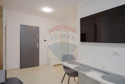 Apartament cu 2 camere decomandat, mobilat în Europa - 8