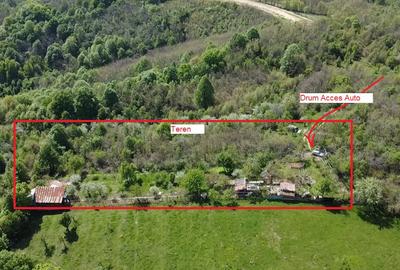 Teren intravilan 2500 mp cu vie, pomi ?i construc?ii Or?ova - 5