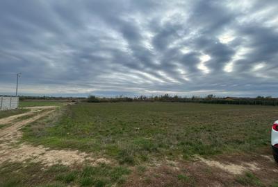 Teren intravilan de 1252 mp, în Piscu - 5