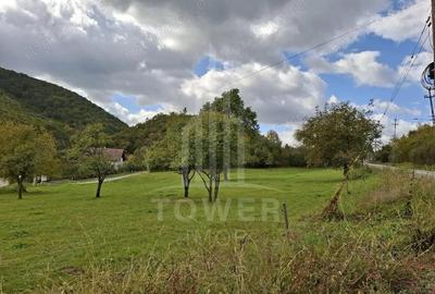 Teren de 509 mp, în Cisnădioara - 3