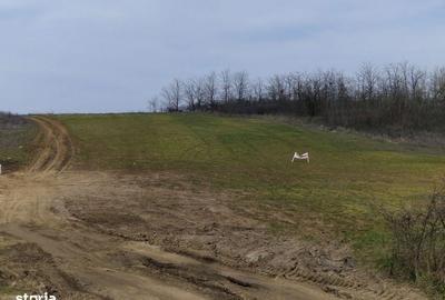 Spațiu comercial, în Leșile