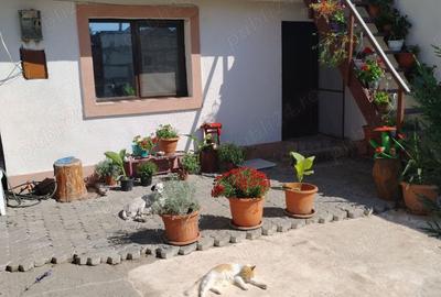 Casă cu 6 camere cu Teren 250 Mp în Costinești - 1
