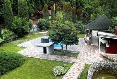 Cabana / casa de vanzare in Baisoara, 285 MP ! Piscina! Ciubar! Cabana / casa de vanzare in Baisoara, 285 MP ! Piscina! Ciubar! - 9