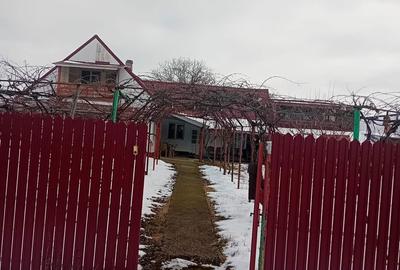 Casă cu 4 camere cu Teren 5000 Mp în Girov - 10