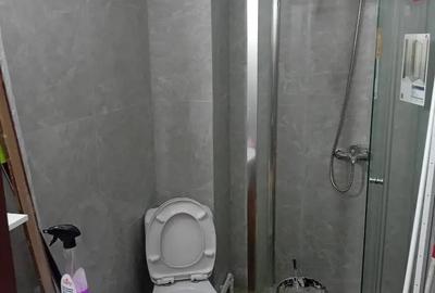 200 euro garsoniera Dancu - 6