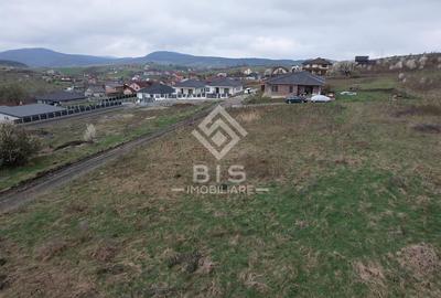 Teren Construcții intravilan de 700 mp, în Sud - 11