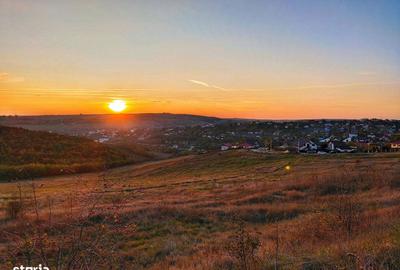 Teren de 704 mp, în Rediu - 7