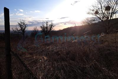 Teren intravilan de 3250 mp in Podgoria, de vanzare, Bihor, GAMINVEST, V3270 - 2