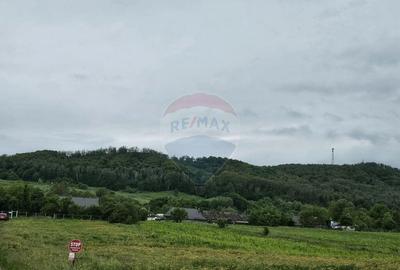 Teren 1,495mp Dobreni / Strada Parau Almas - 3