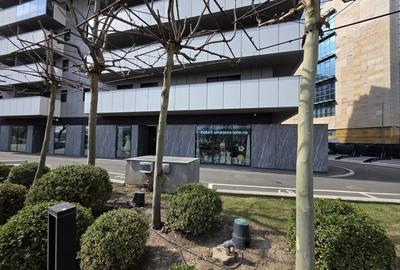 Spațiu comercial, de 154 mp, în Cotroceni - 1