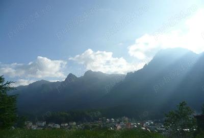 Teren intravilan situat in Busteni-Valea Alba - 7