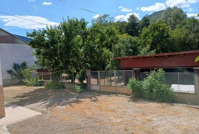 Vind casa in Baile Herculane - 4