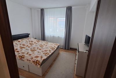 Apartament cu 2 camere decomandat, mobilat în Cetate - 7