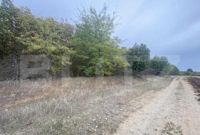 Teren de 15000 mp, în Central - 4