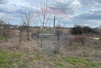 Teren Construcții intravilan de 700 mp, în Izvorani - 9