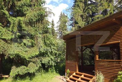 Cabana  cu teren 1364mp, zona Bucin - 14