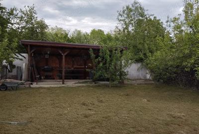 Casă cu 6 camere în Oțelu Roșu - 1