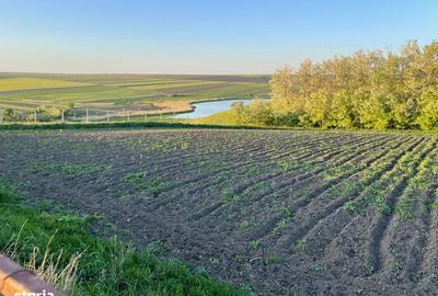 Teren de 3100 mp, în Bălțați