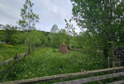 Teren Construcții intravilan de 1660 mp, în Valea Doftanei