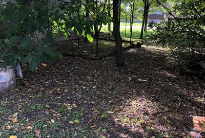 Casă cu 4 camere în Șicula - 4