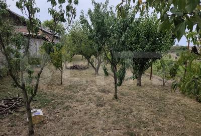 De vanzare casa la intrare in Cihei 185mp P+M+beci teren 2700mp mobilata - 6