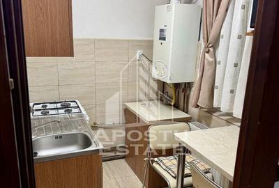 Apartament cu 1 camera, centrala proprie, zona Girocului - 3