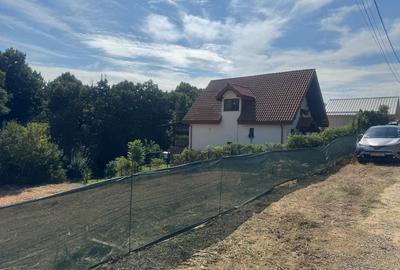 1000 mp , Bucium spre Barnova , in padure , intre case - 4