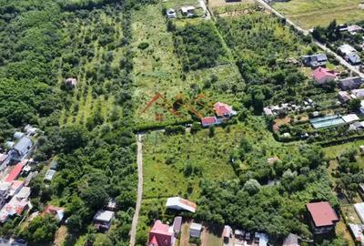 Teren intravilan 20280 mp, oportunitate investitie, Gageni, Prahova - 1