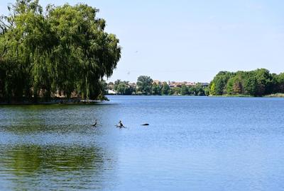 Duplex 6 camerede vanzare in Mogosoaia Str Martha Bibescu 20 acces direct la lac - 10