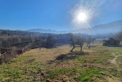 Teren rezidential zona Bran Tohanita zona de case - 1