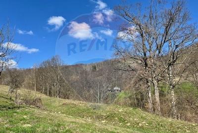 Teren agricol extravilan de 7495 mp, în Bârsana - 5