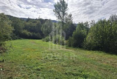 Teren Intravilan de Vânzare - 4000 mp - Râu Sadului - 6