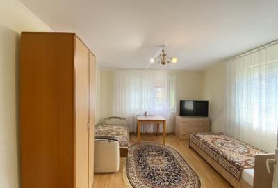 Casa Sacel 120 mp utili, teren 1100 mp si parau - 5