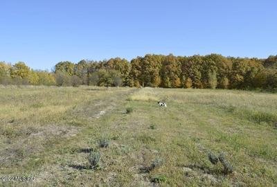 Topoloveni - Conacul Ion Mihalache, Domeniu pe 5 Hectare - 60