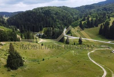 Teren Intravilan | Poiana Brasov | 5.000mp | Necesar PUZ - 4