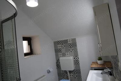 Casă cu Canalizare în Iosefin - 1