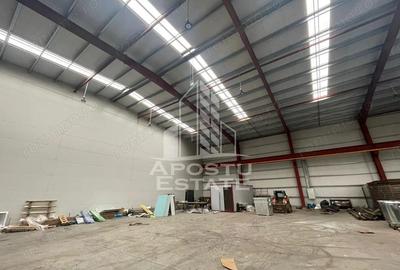 Spațiu comercial, de 600 mp, în Săcălaz - 3