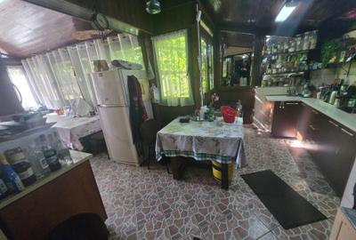 Vila Individuala, Garaj, Piscina, S+ P+ 1E +M, teren 766 mp- Sos Oltenitei - 38